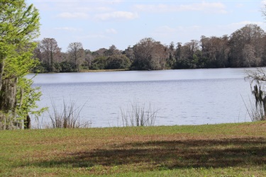 View of Lake Orlando