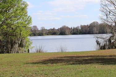 View of Lake Orlando