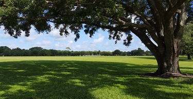 Field at Blue Jacket Park