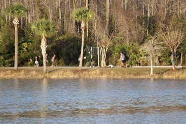 Visitors playing volleyball