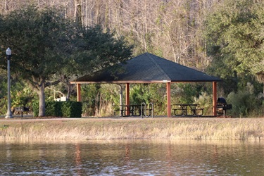 Picnic benches near lake