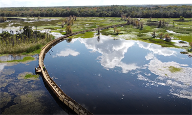 wetlands boardwalk