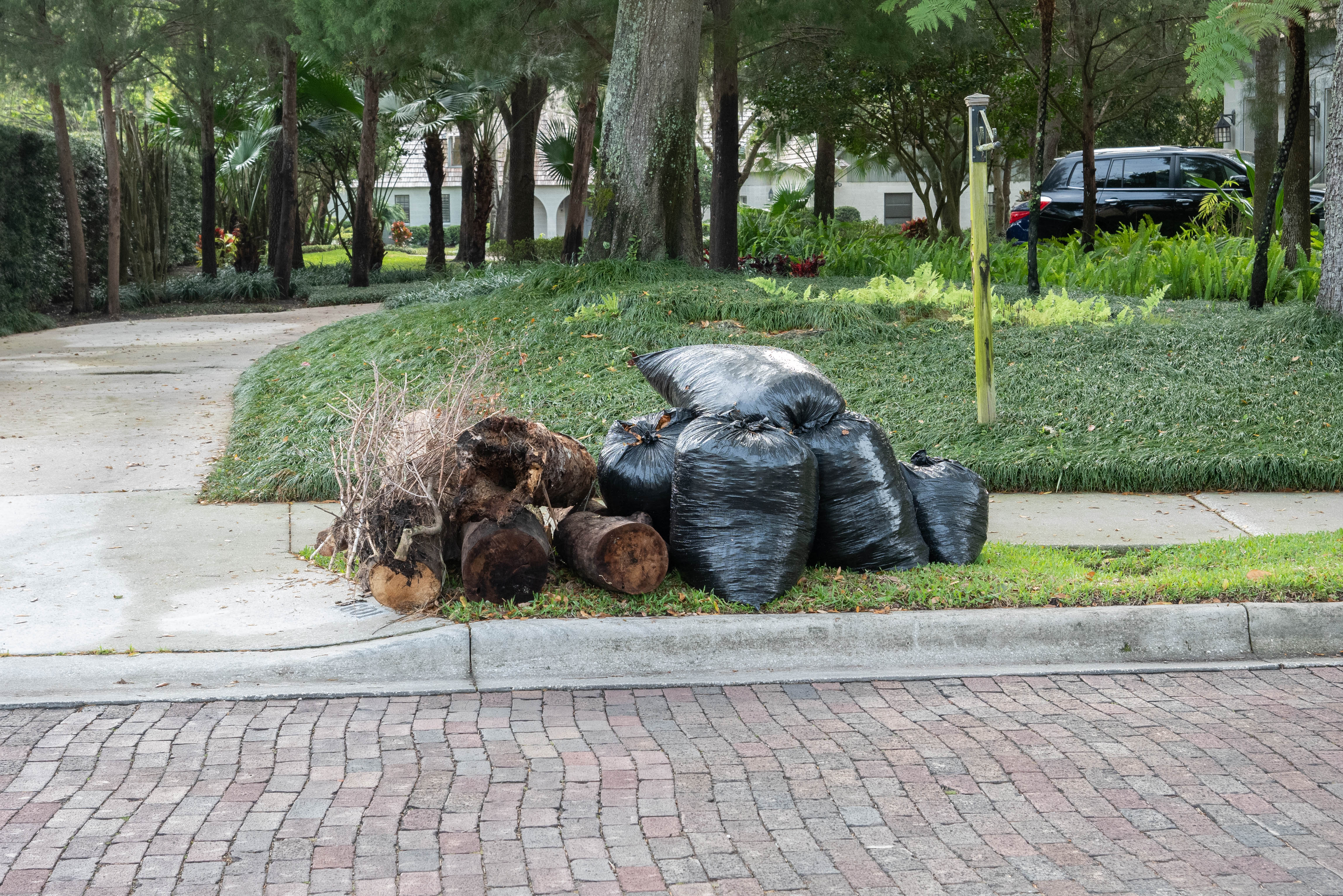 Yard waste on right-of-way