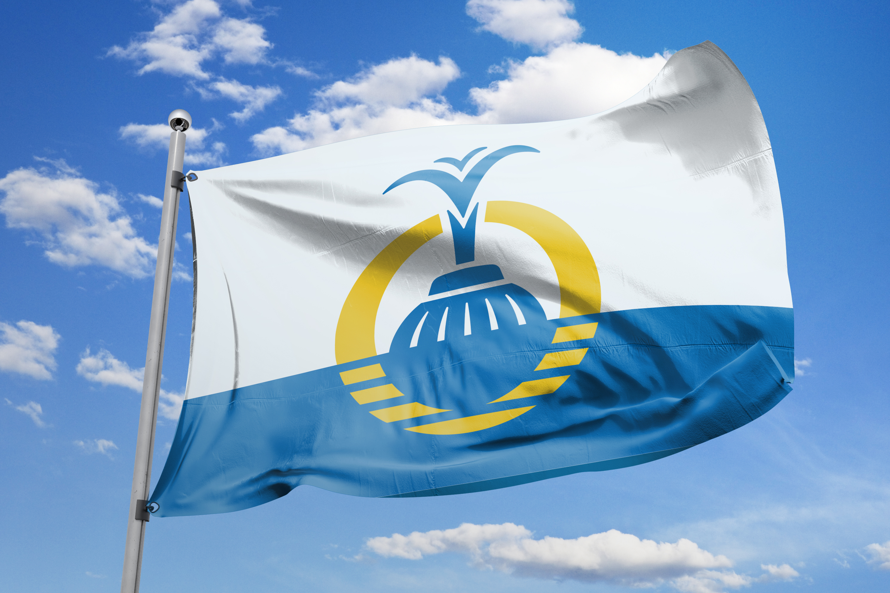 City Flag