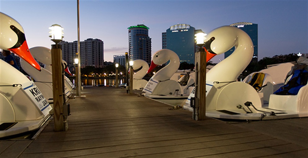 Photo of Swan Boats at Lake Eola