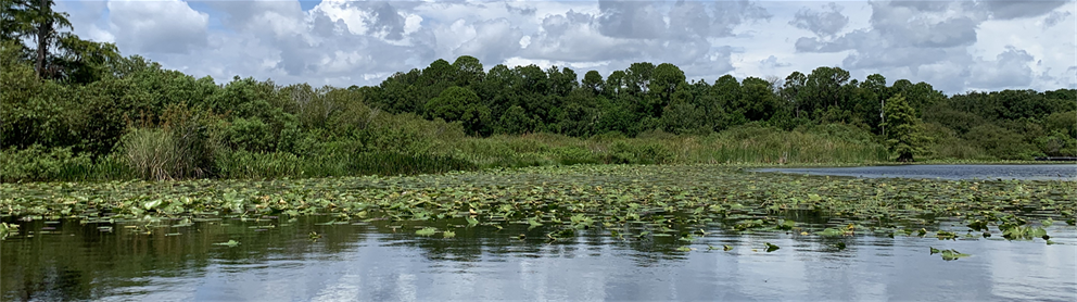 People paddle in canoes on Turkey Lake at Bill Frederick Park