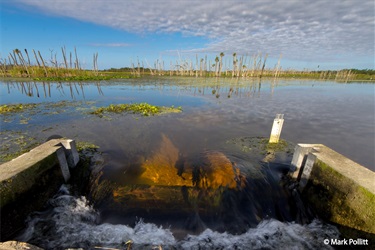 wetlands control structure