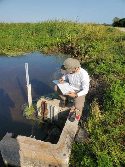 man by water in wetlands