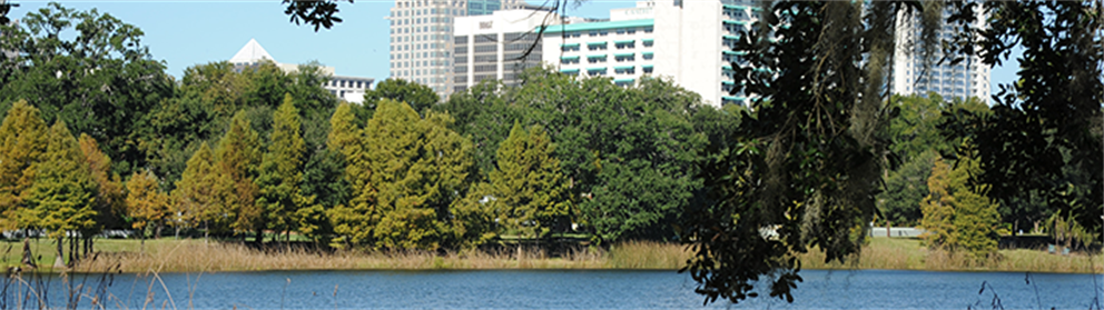 A photo of a lake with trees and building in the background.