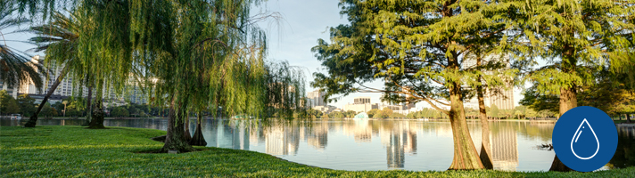 water represented by local lake