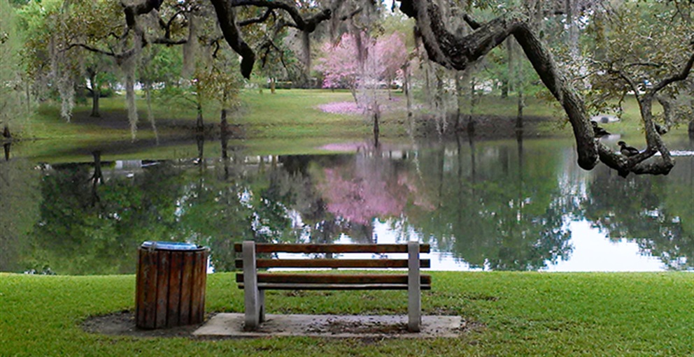 View from a Park Bench at Lake Como Park