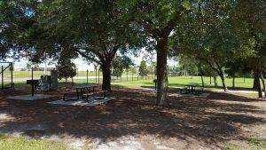 Park-of-the-Americas-Table-under-trees.jpg