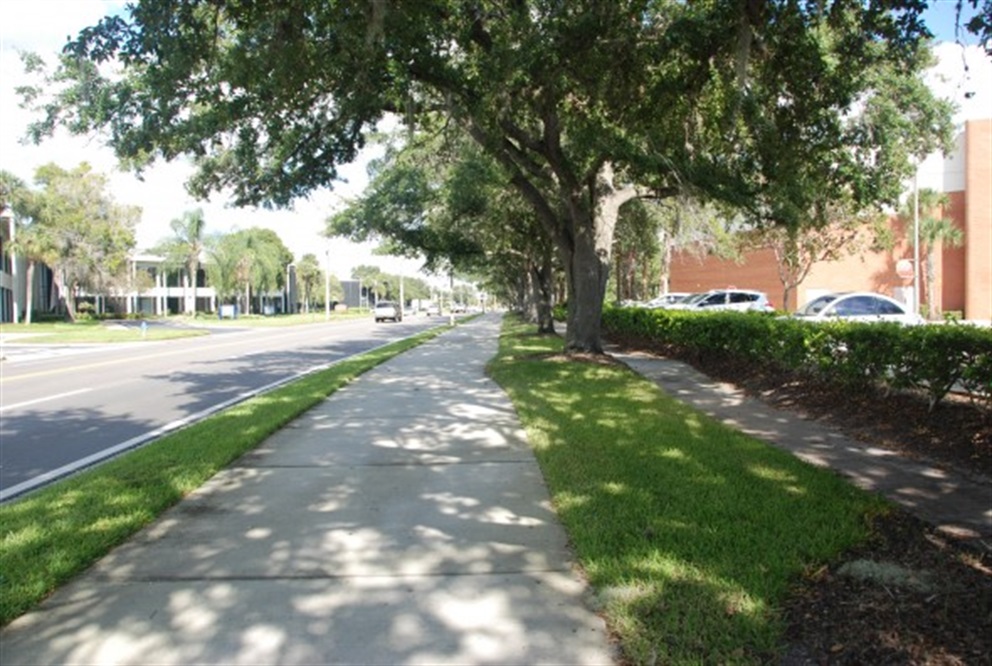 Photo of the Cady Way Trail